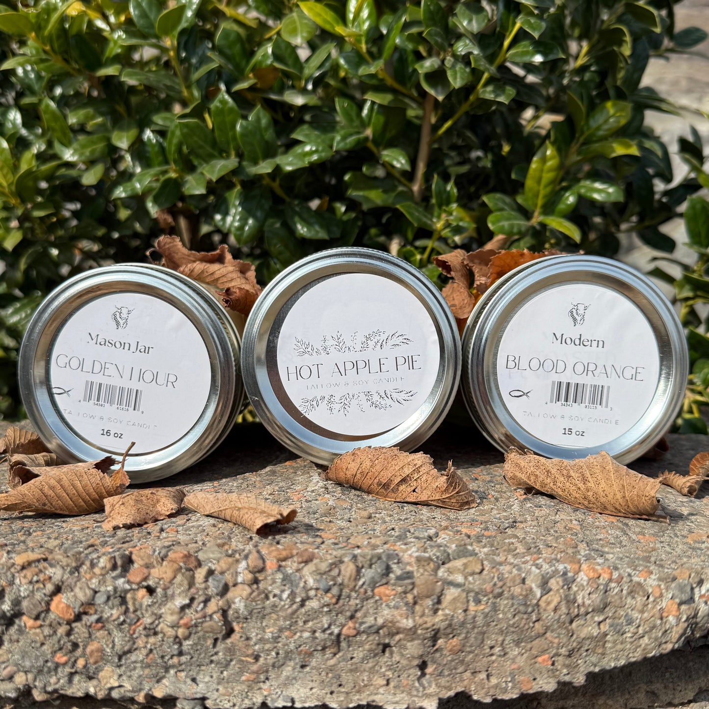 Cozy House Tallow Candle Bundle