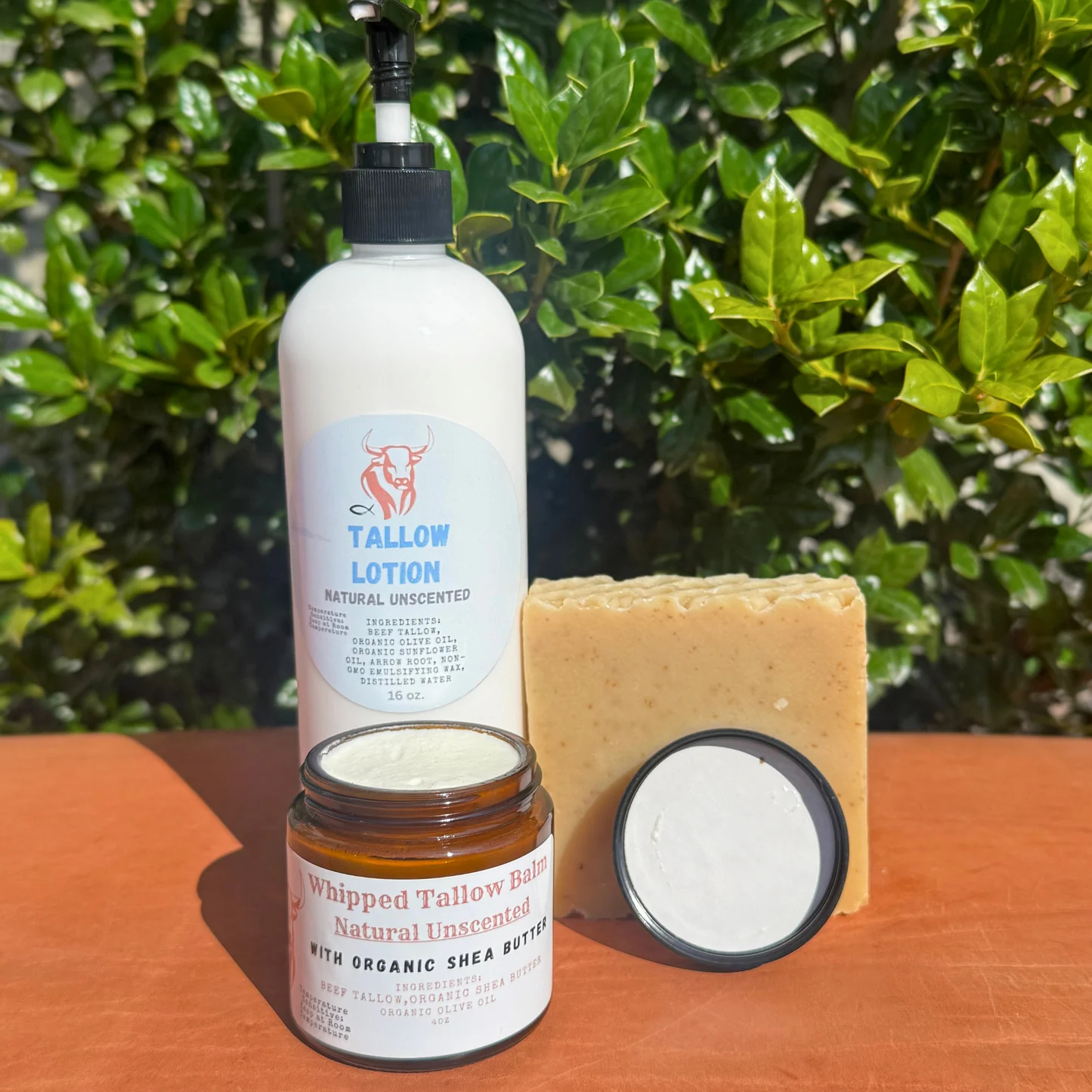 Tallow Skincare Starter Kit