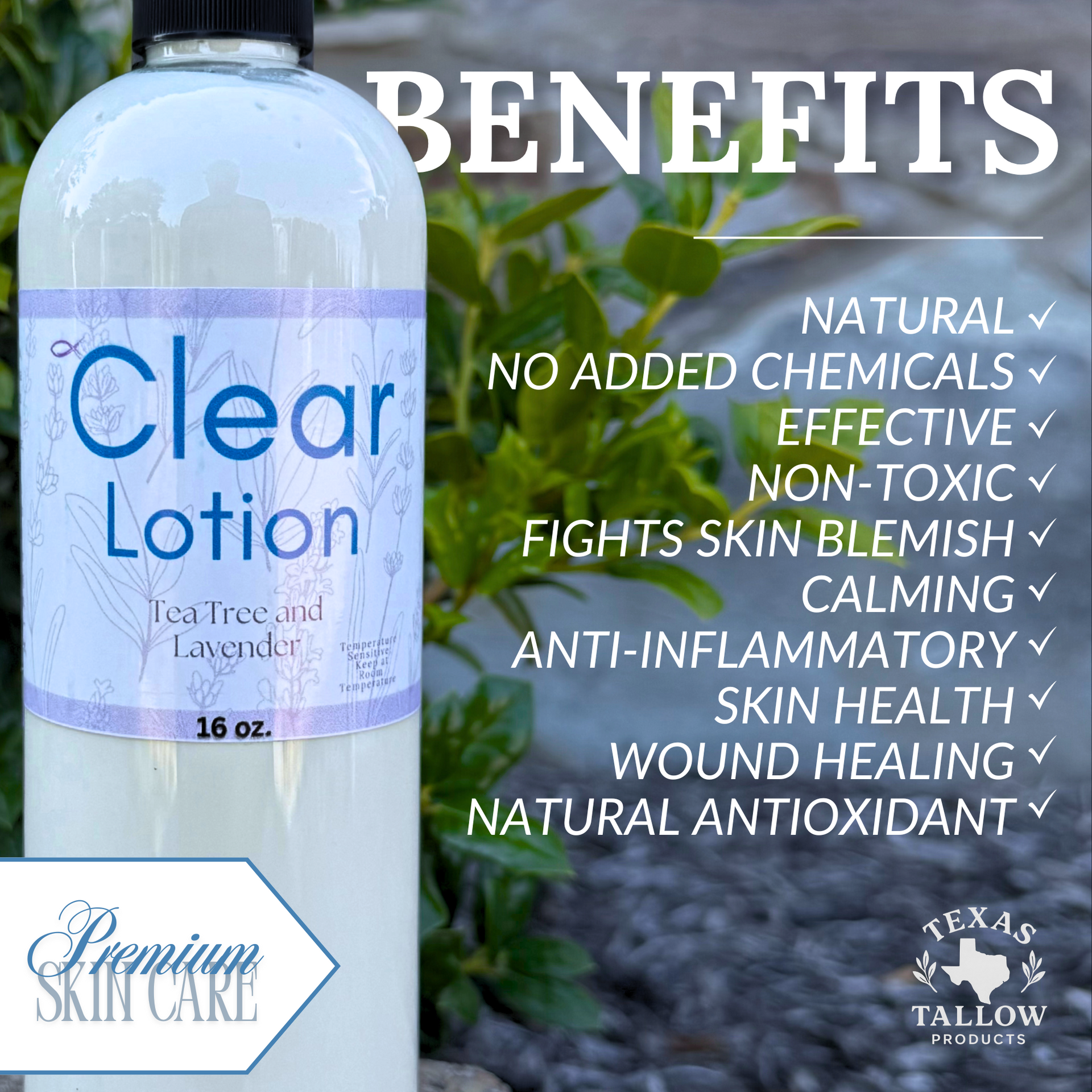 Clear Tallow Lotion (Tea Tree & Lavender) 16oz