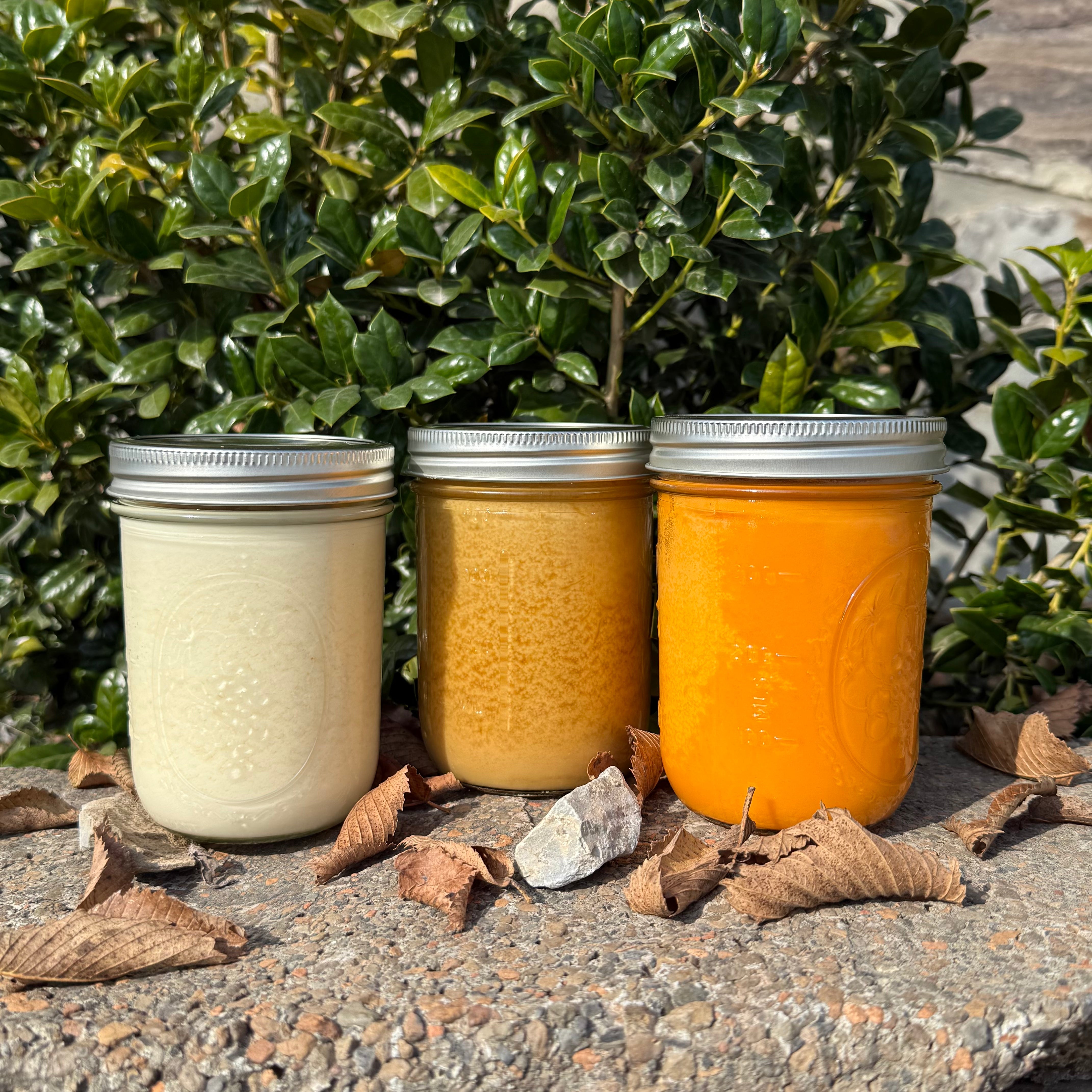 What Are Tallow Candles Made Of?