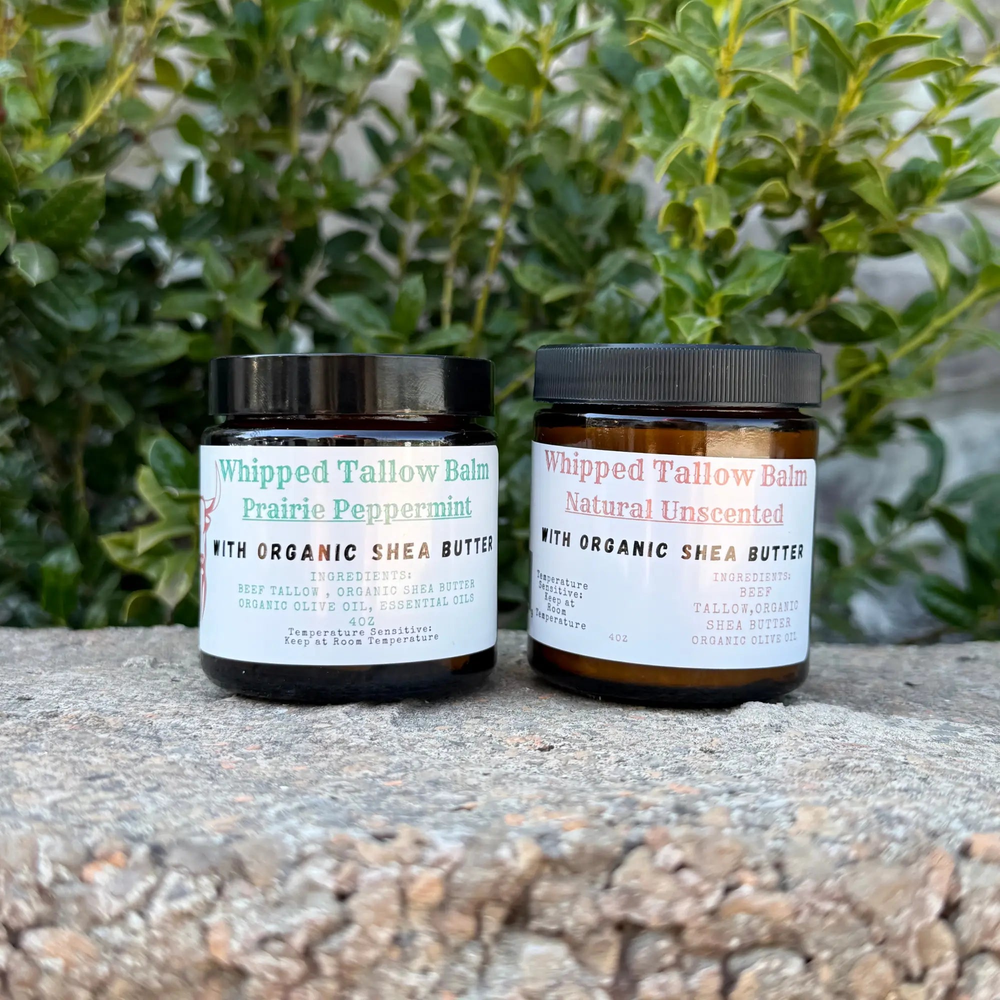 Beef Tallow Balm: Benefits, Uses, and What to Look For