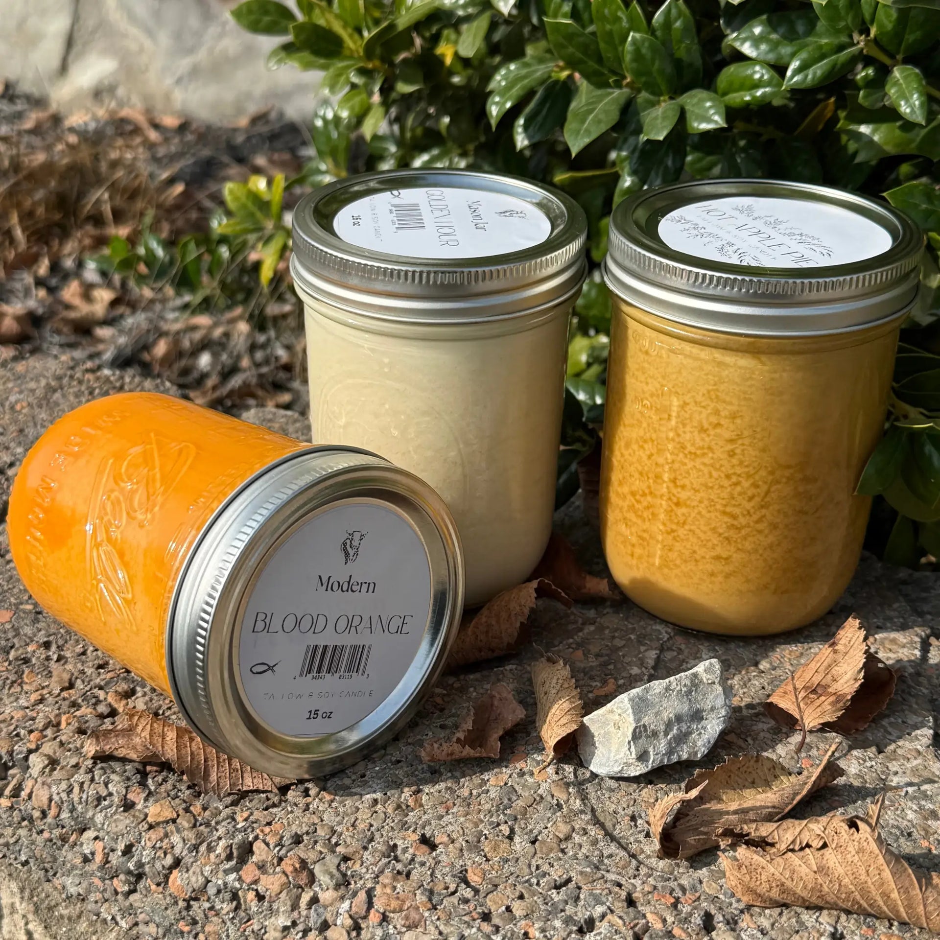 Cozy House Tallow Candle Bundle