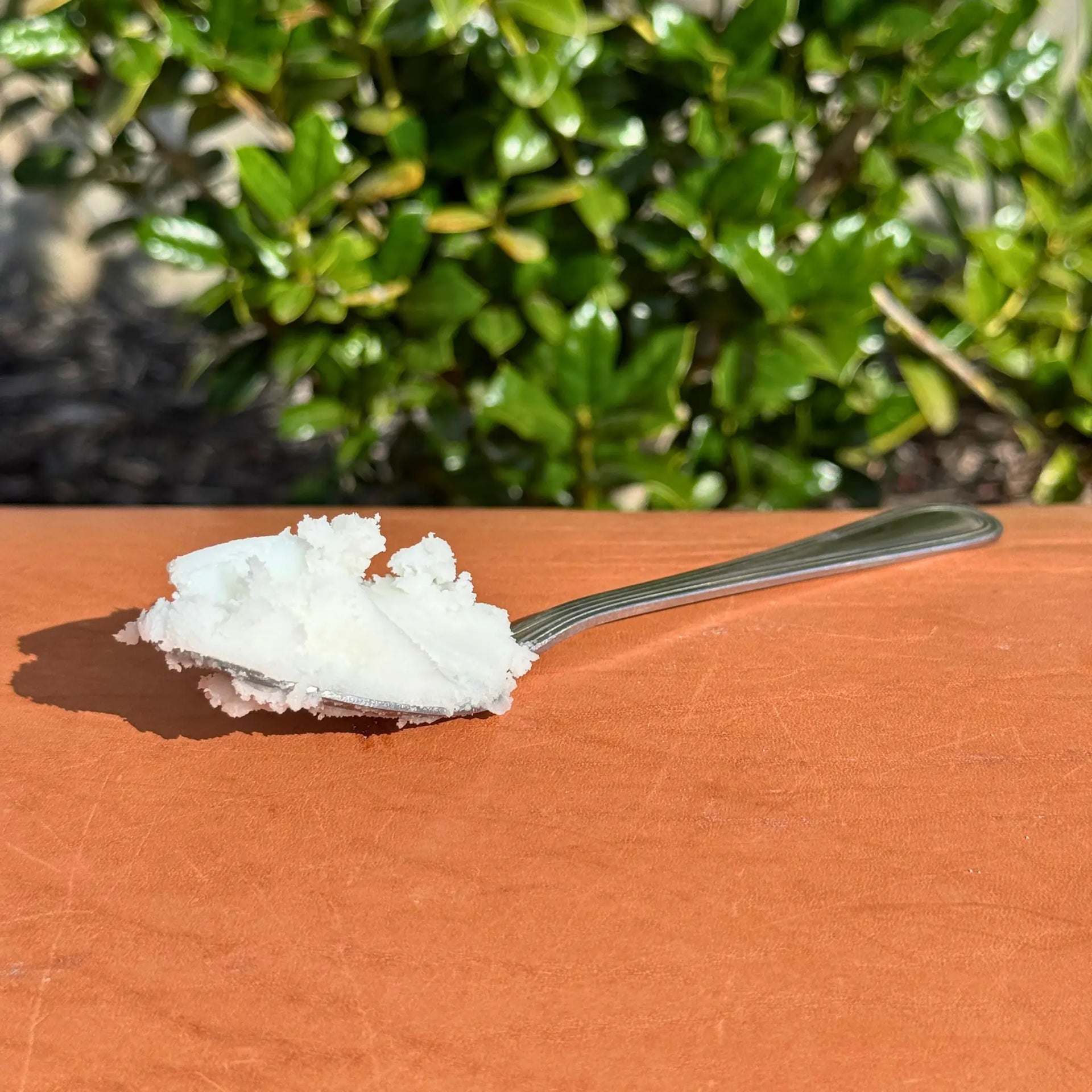 Fresh Beef Tallow (32fl.oz) — view 4 of 4
