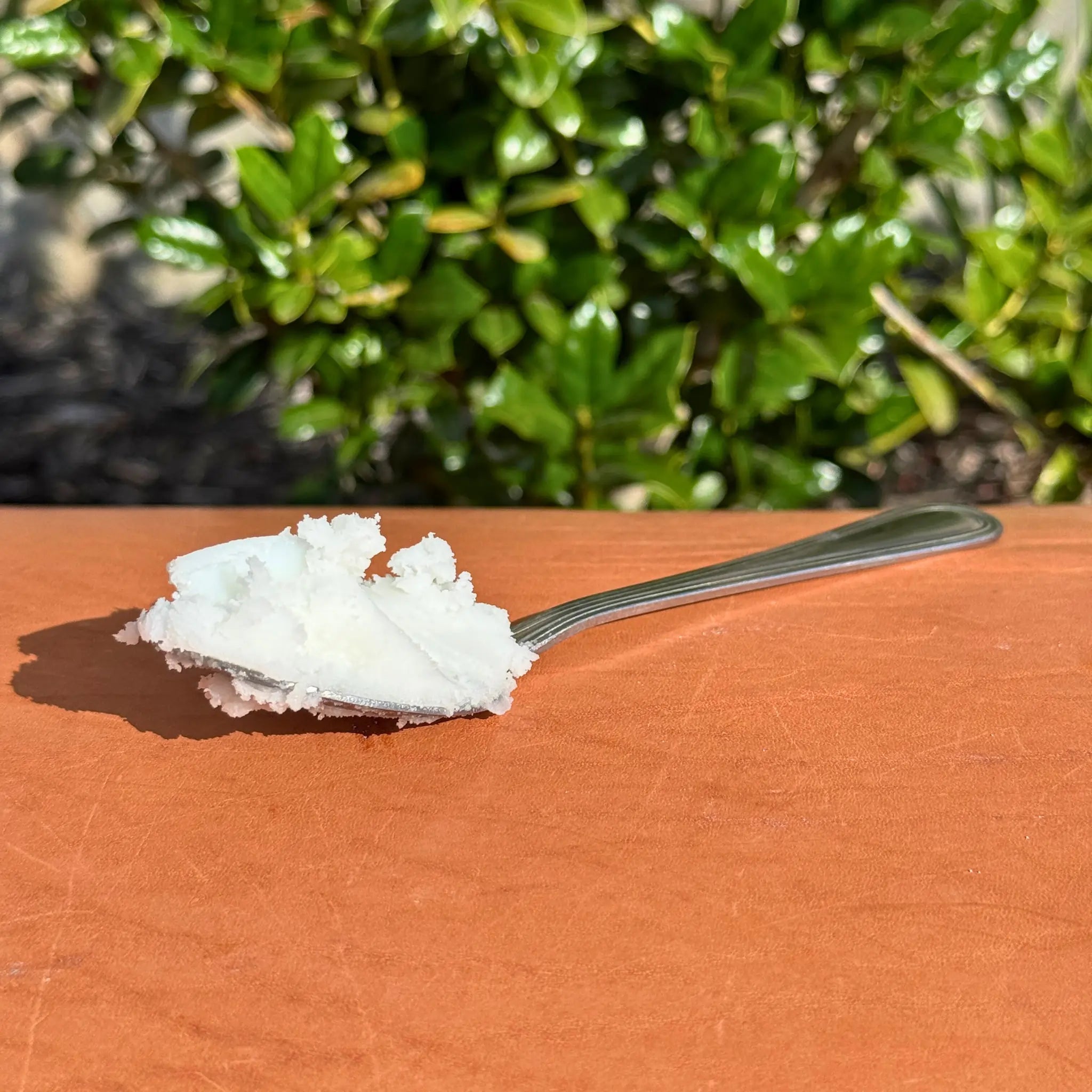 Fresh Beef Tallow (32fl.oz) — view 4 of 4