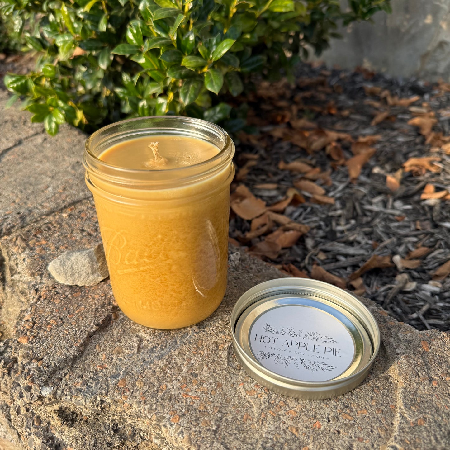 Hot Apple Pie Beef Tallow Candle (16oz)