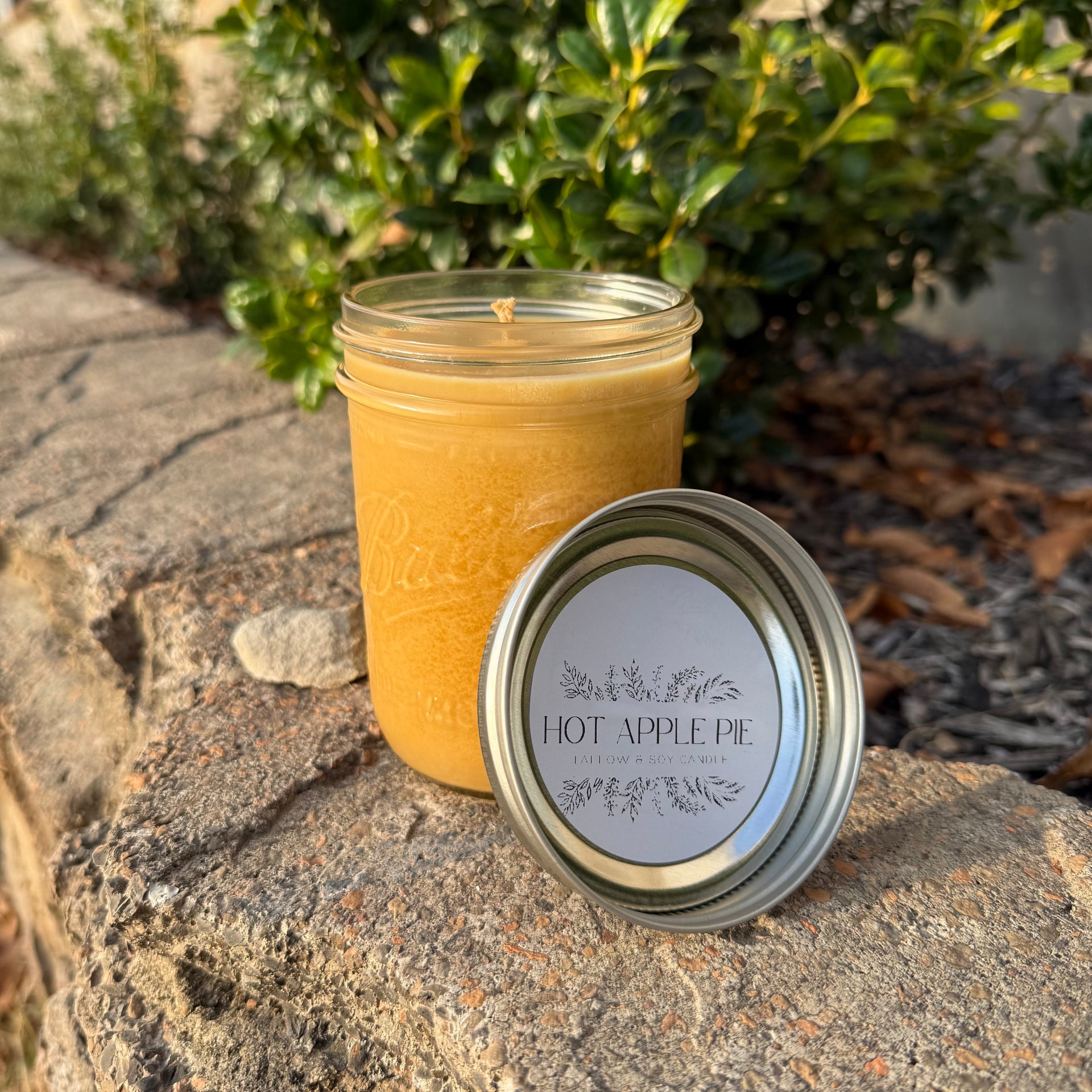 Hot Apple Pie Beef Tallow Candle (16oz)