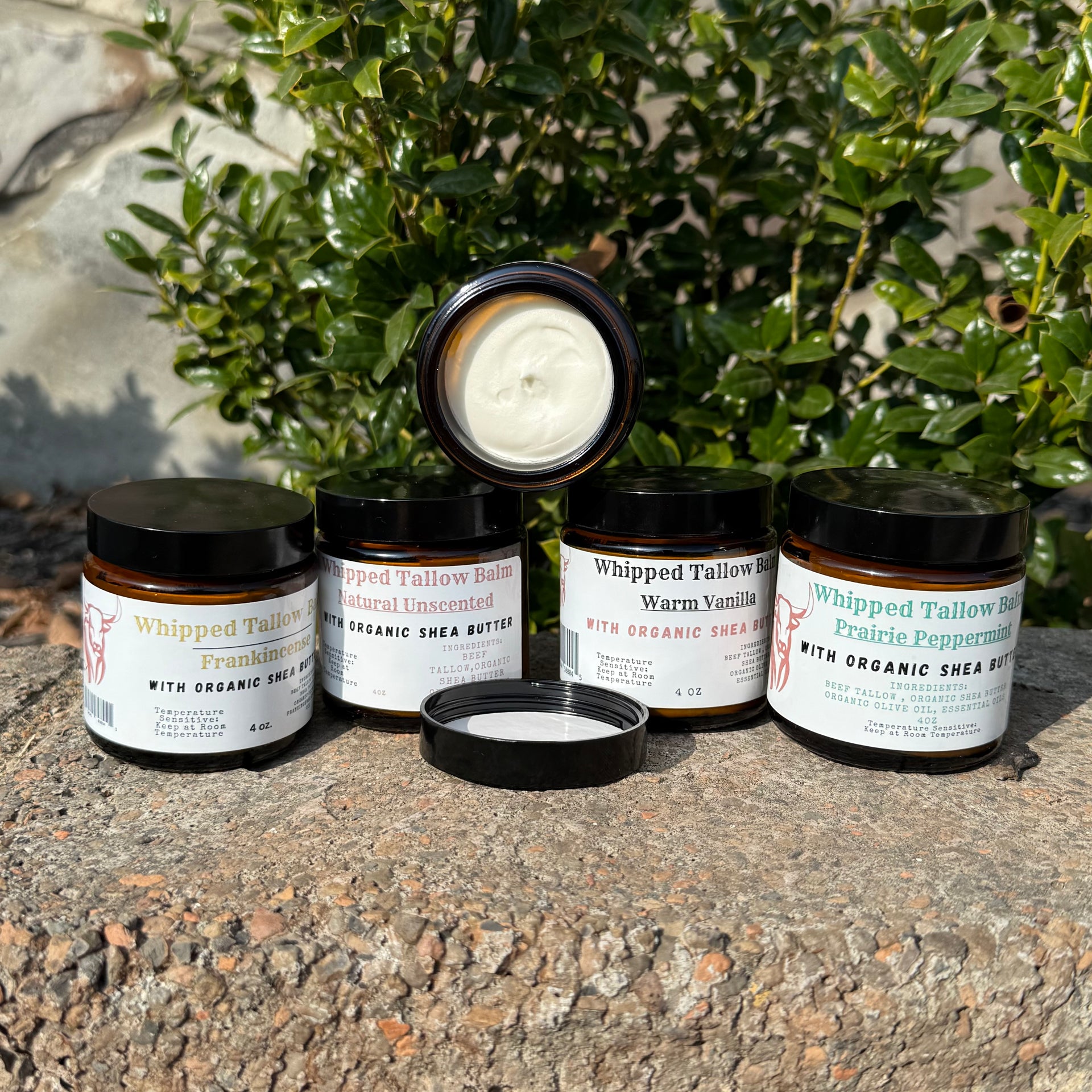 Whipped Tallow Balm Sampler (4oz)
