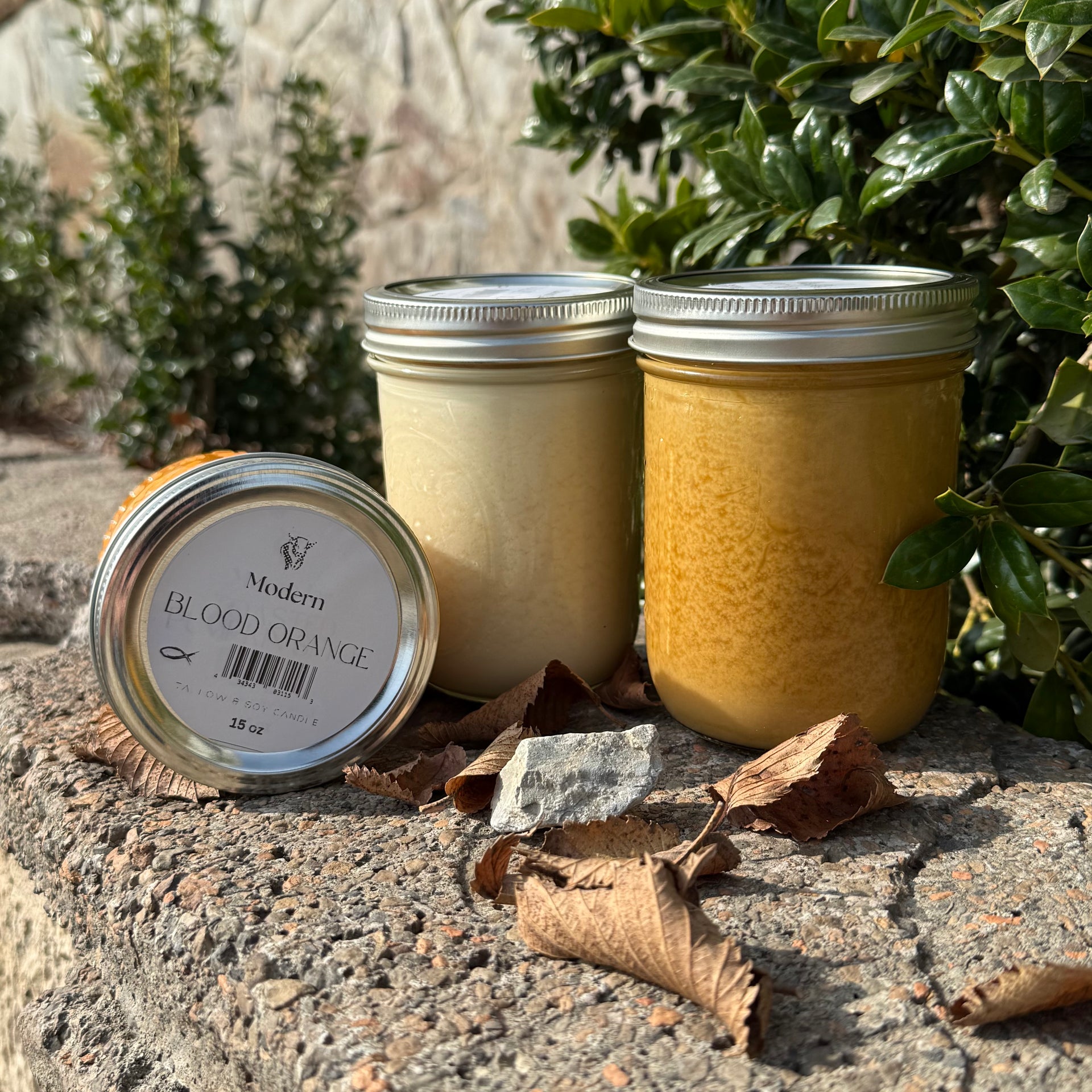 Cozy House Tallow Candle Bundle