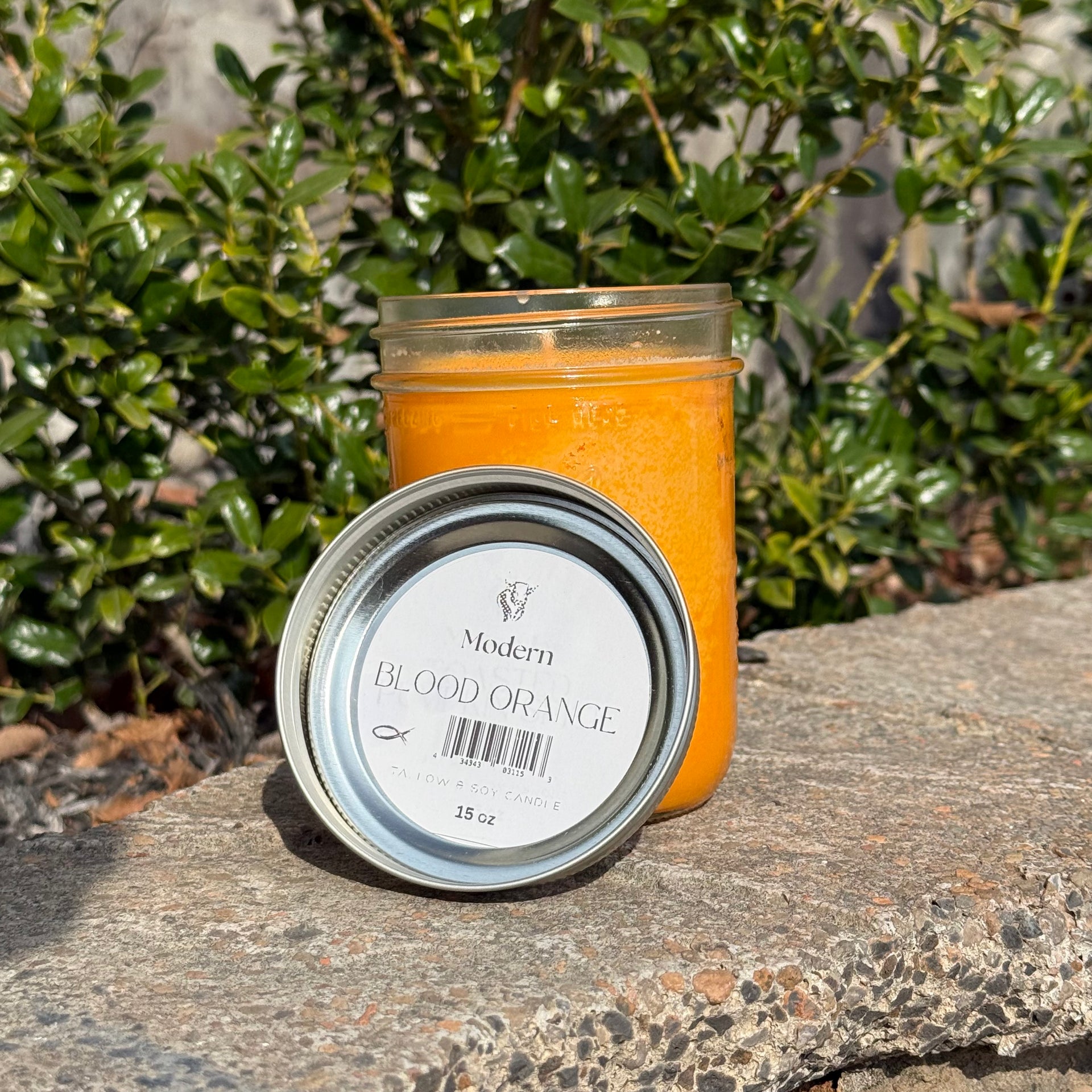 Blood Orange Beef Tallow Candle (16oz)