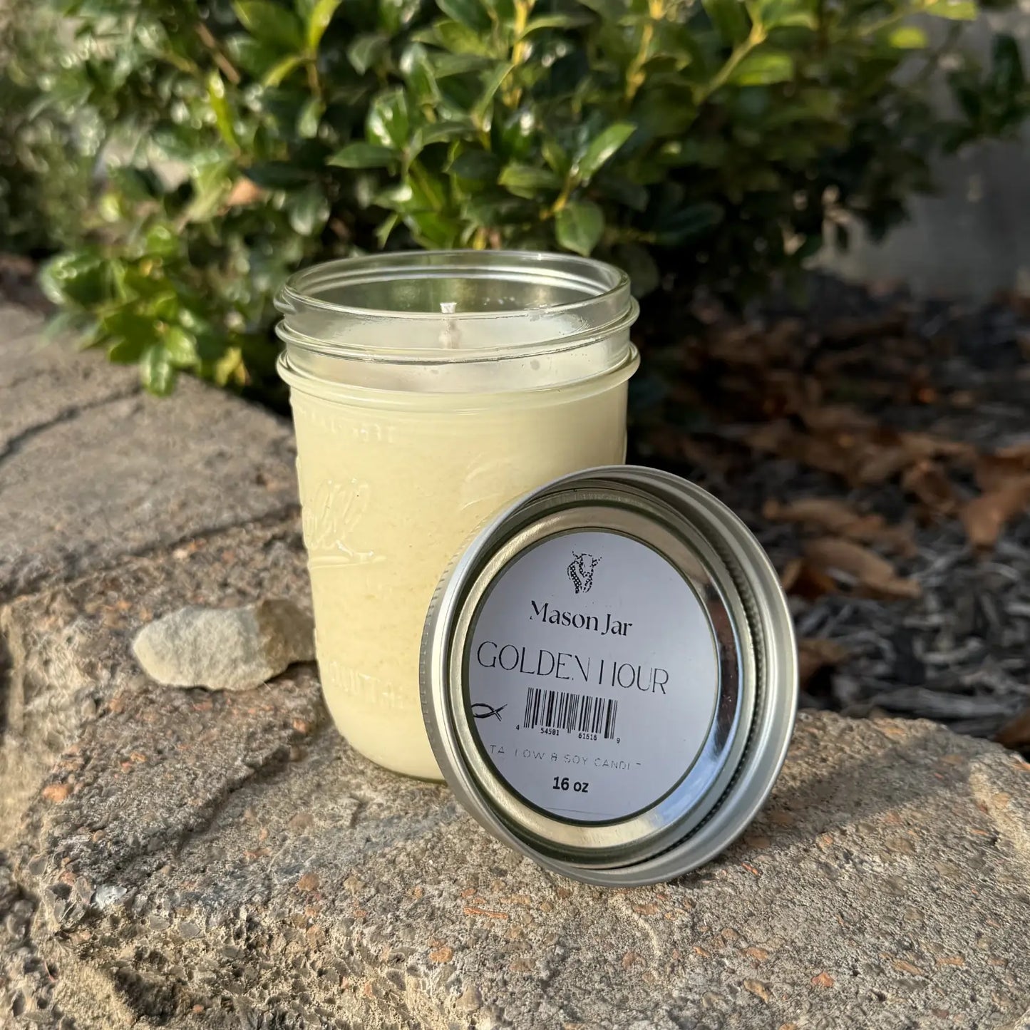 Golden Hour Beef Tallow Candle (16oz)