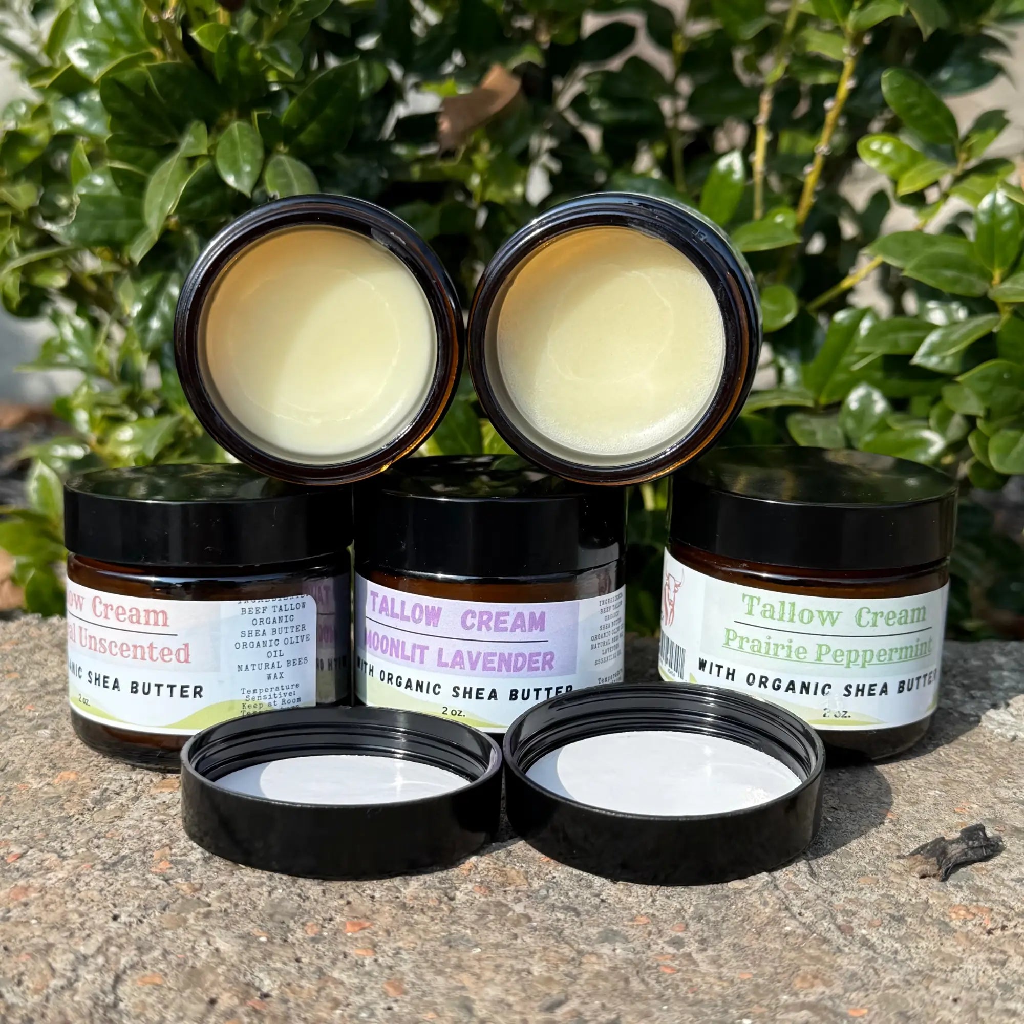 Tallow Cream Sampler (2oz) — view 2 of 2