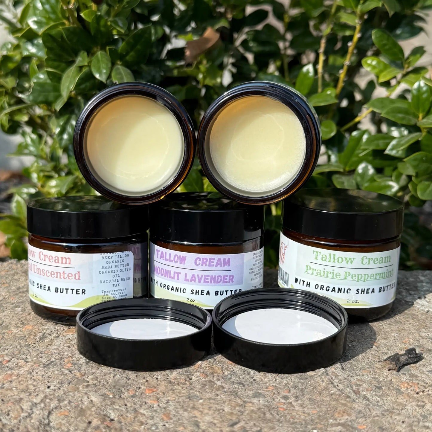 Tallow Cream Sampler (2oz)
