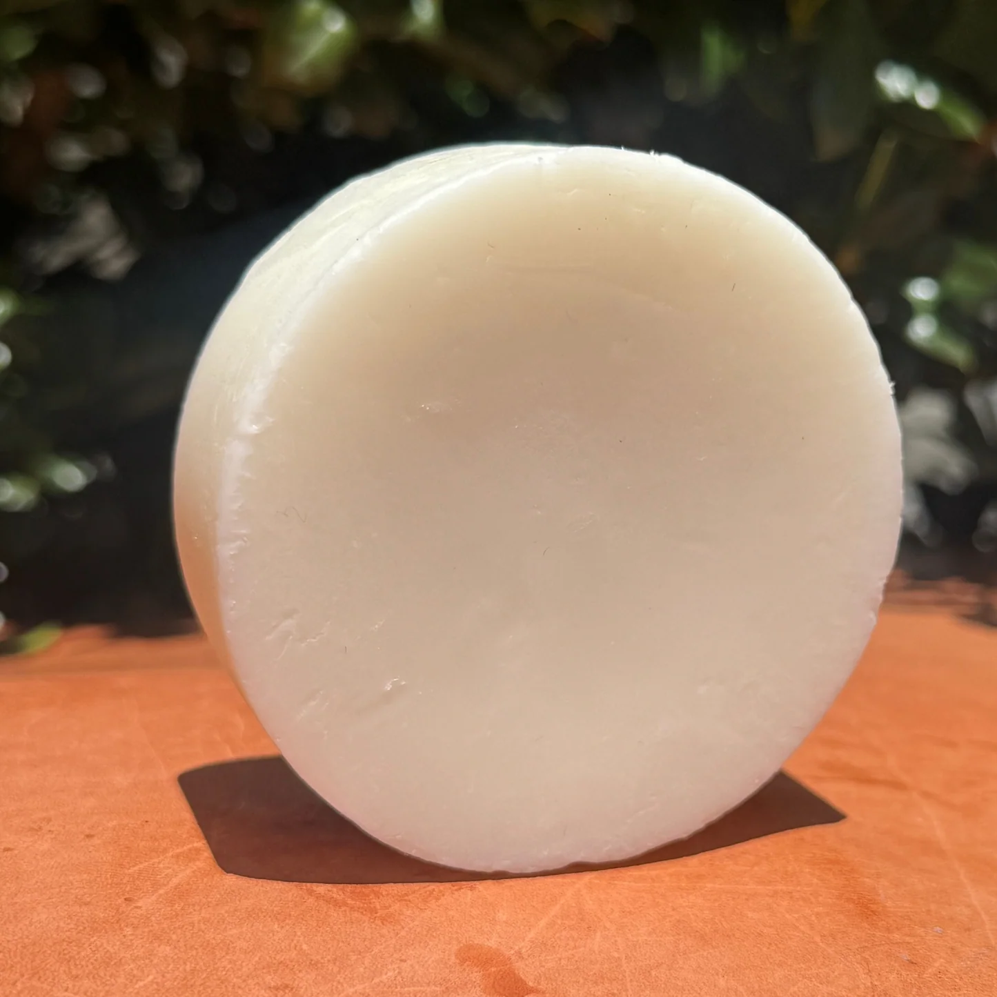 Tallow Lotion Bar (4oz)