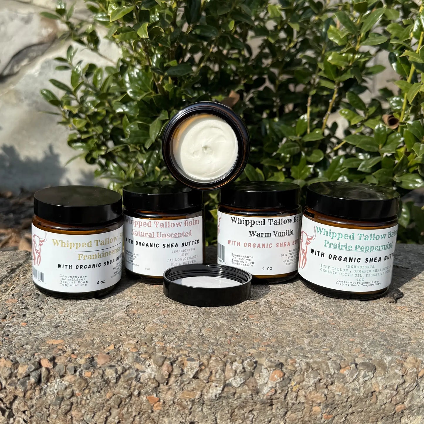 Whipped Tallow Balm Sampler (4oz)