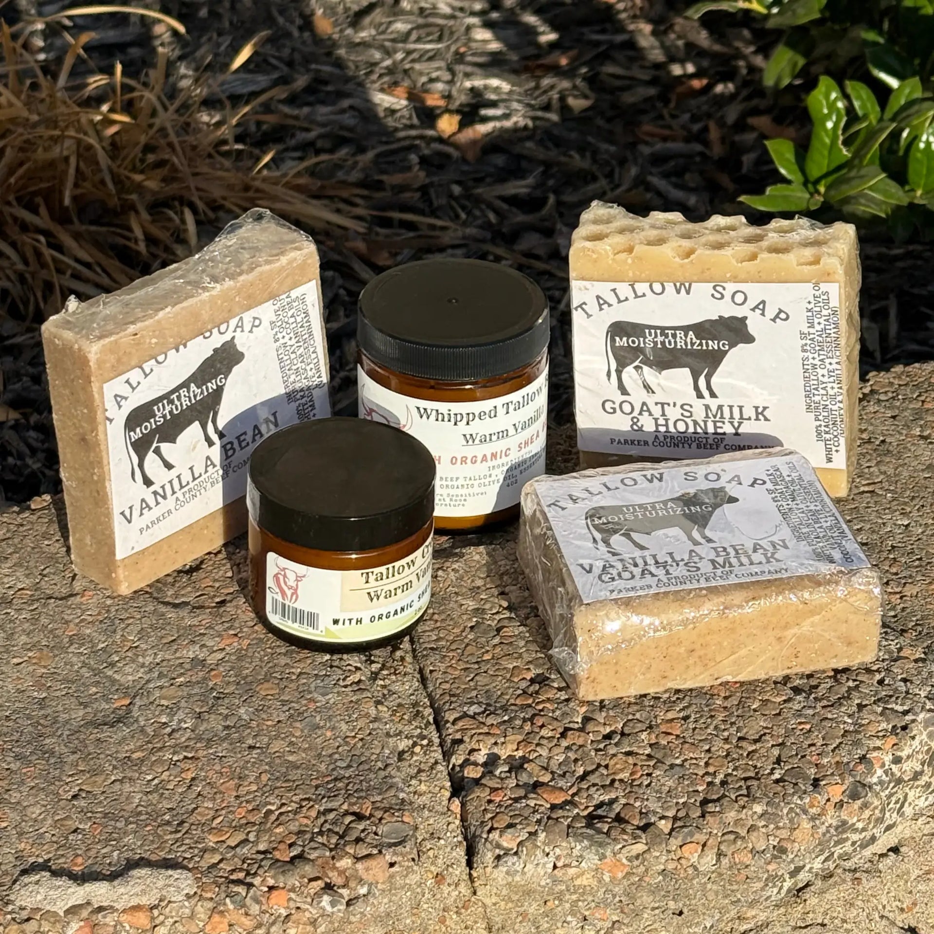 Vanilla Wellness Bundle