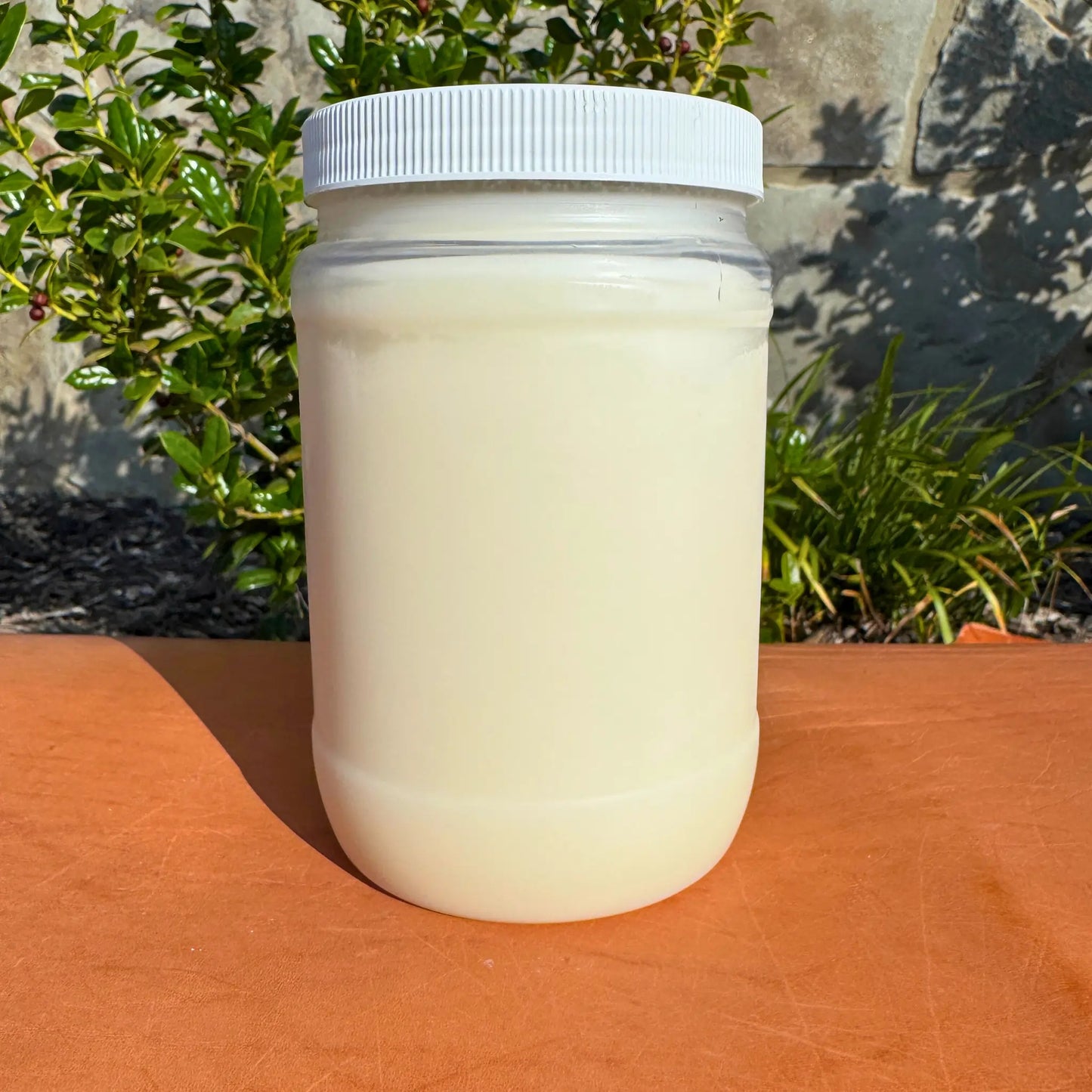 Fresh Beef Tallow (32fl.oz)